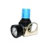 Pneumatic Air Regulator (Aeroflex)